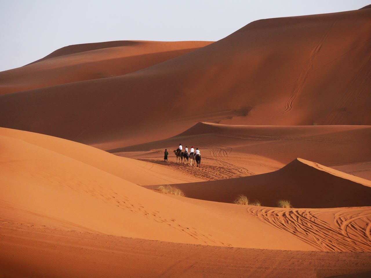 Camel caravan traversing the sunlit dunes of the Moroccan Sahara near Marrakesh.
