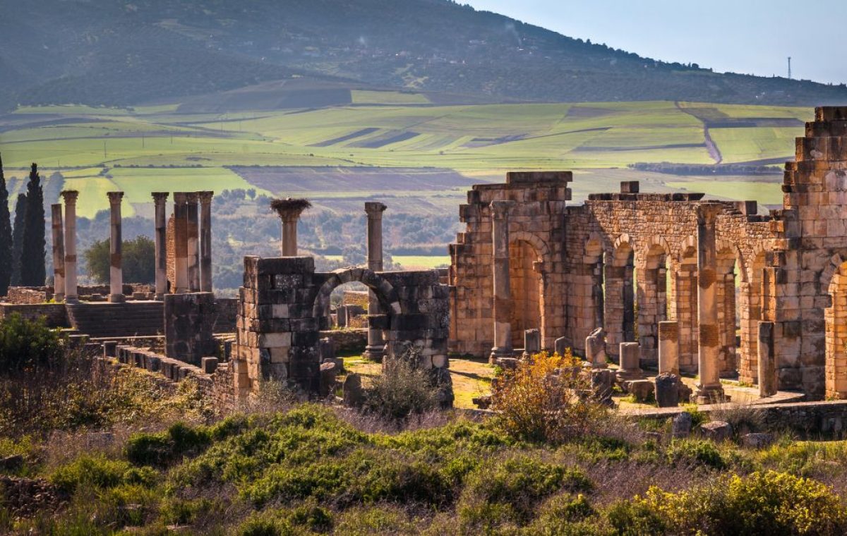 Roman ruins of Volubilis with olive groves and hills behind, on a day trip from Fes