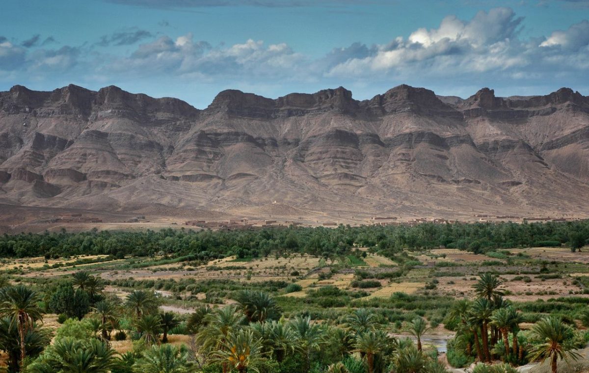 Palm oasis between dry mountains near Zagora, on a Marrakech desert tour