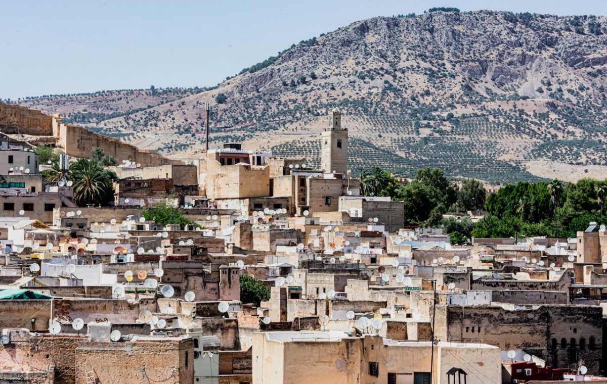 Fes medina seen from above with the Atlas Mountains behind, on a Casablanca desert tour