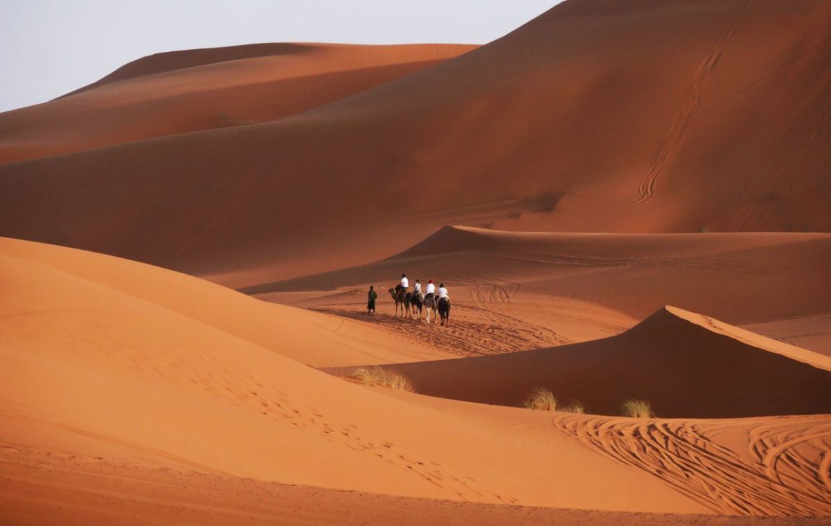 Camel caravan crossing sunlit dunes in the Moroccan Sahara