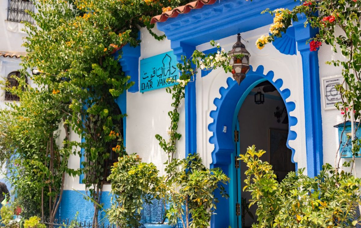 Blue and white doorway with plants in Chefchaouen