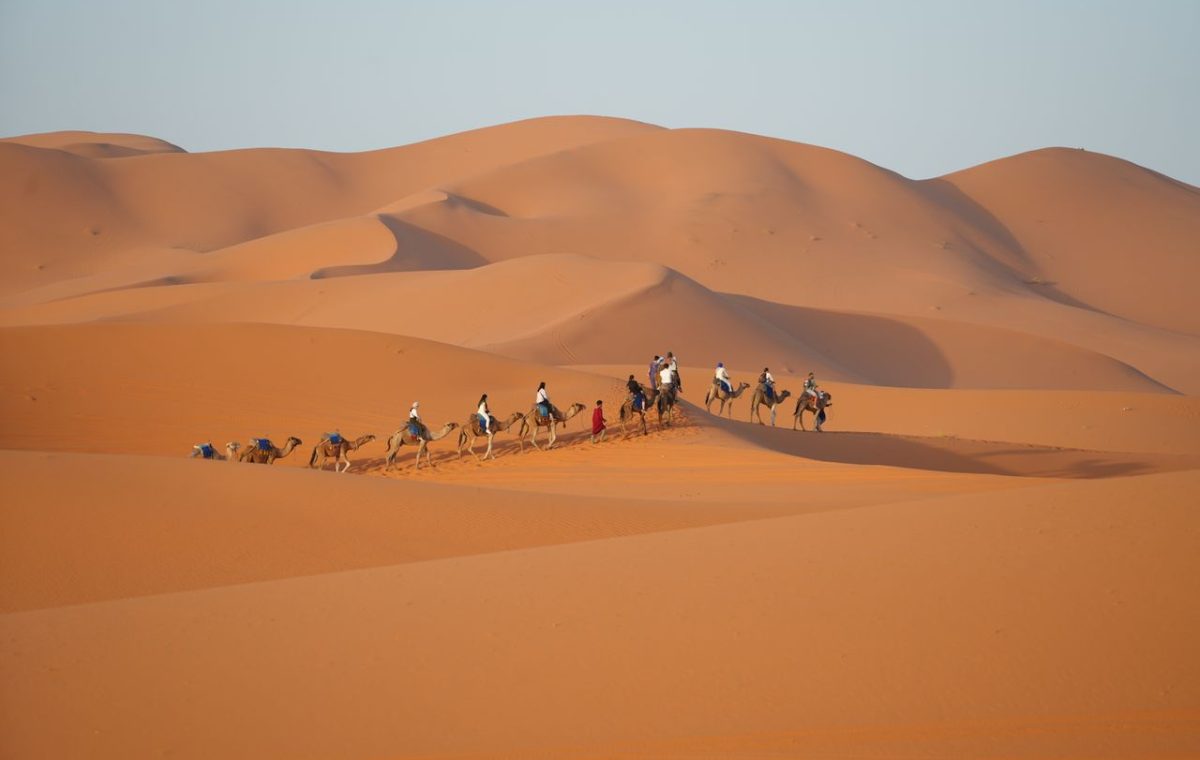 Camel caravan crossing the Merzouga dunes at sunset, on a Casablanca desert tour