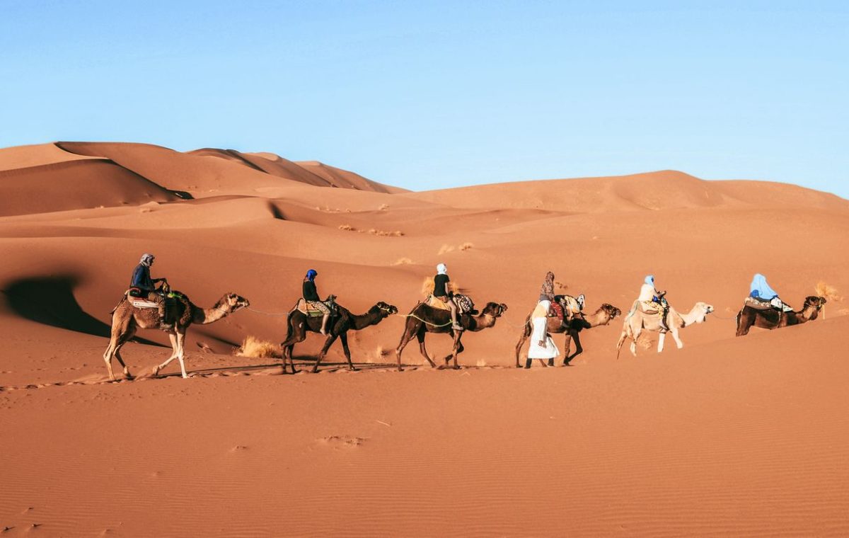 Camel caravan in the Sahara near Foum Zguid