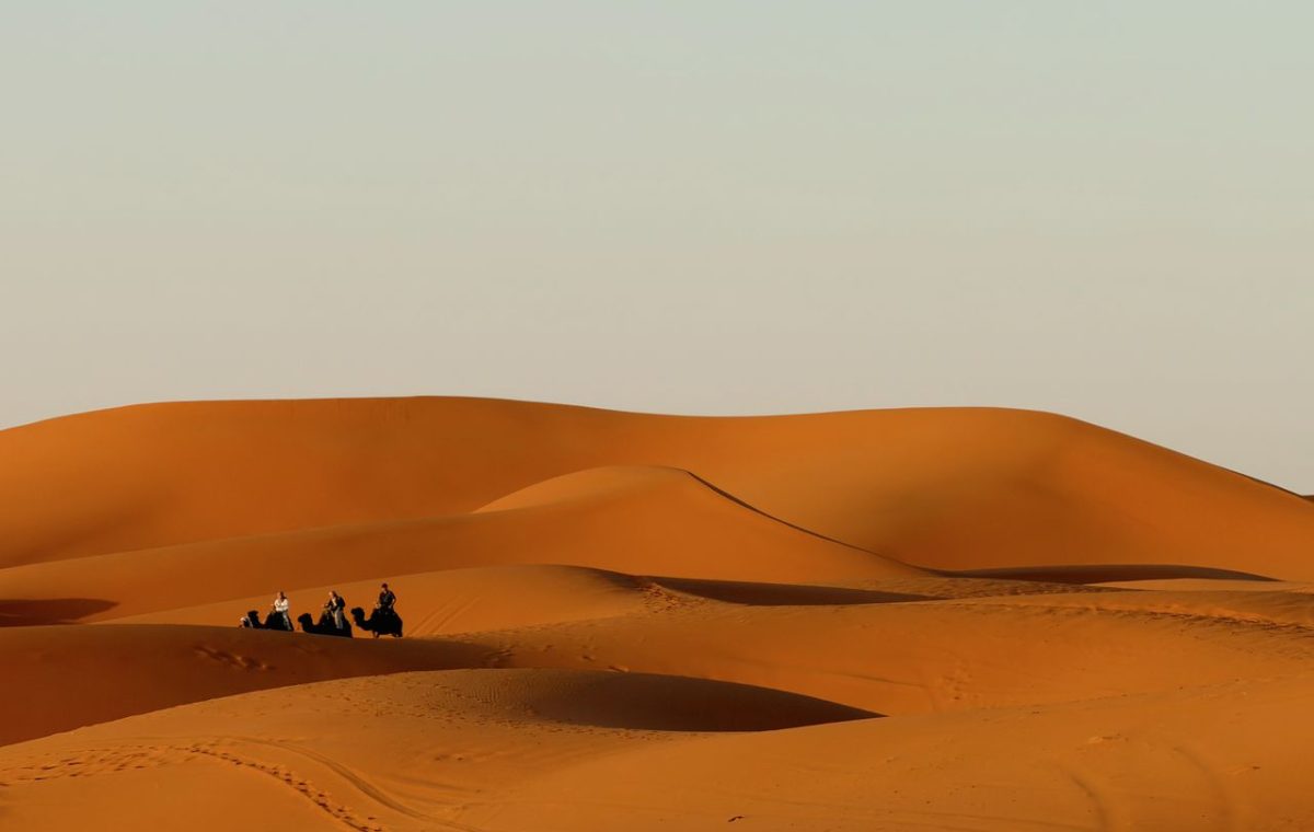 Camels and riders crossing the dunes of the Moroccan desert, on the way from Fes to Merzouga