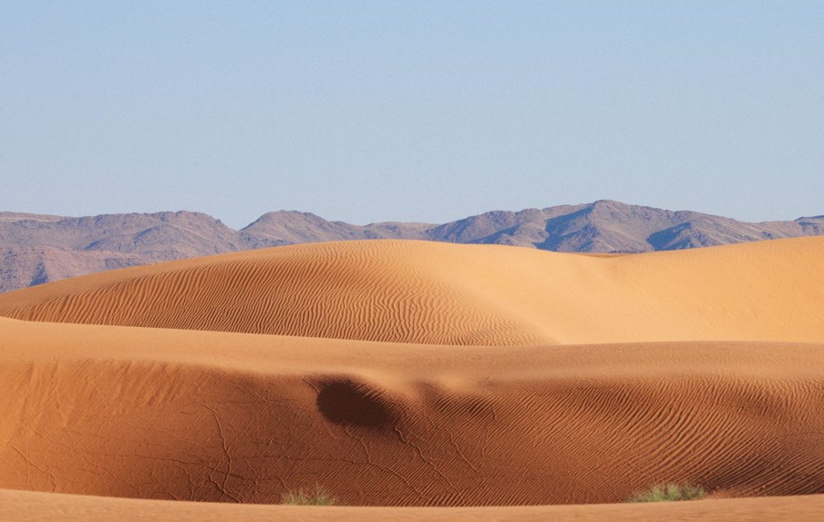 Desert dunes with a mountain range in the distance