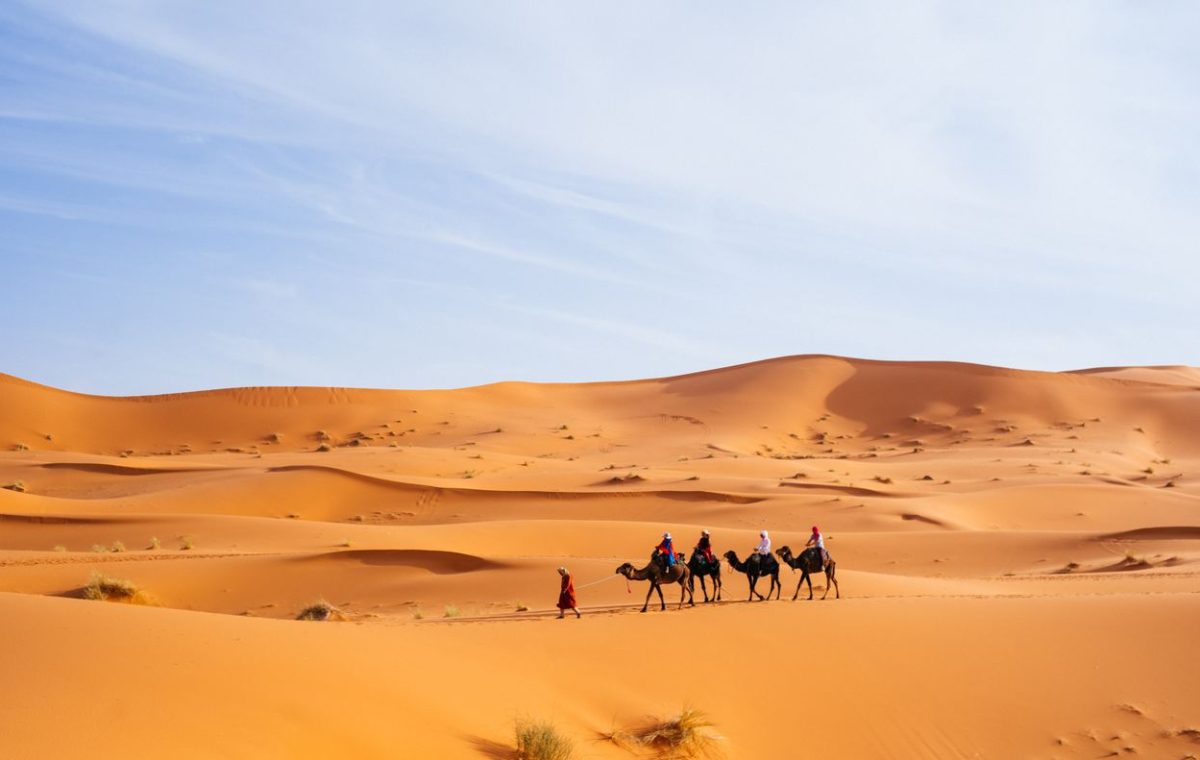 Travellers riding camels across the Merzouga dunes